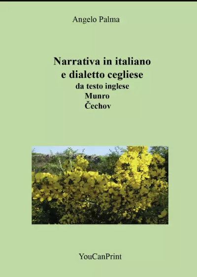 Copertina di Narrativa in italiano e dialetto cegliese da testo inglese Munro - Čechov